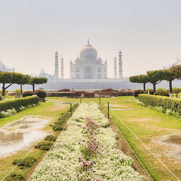 Mehtab Bagh 600x600