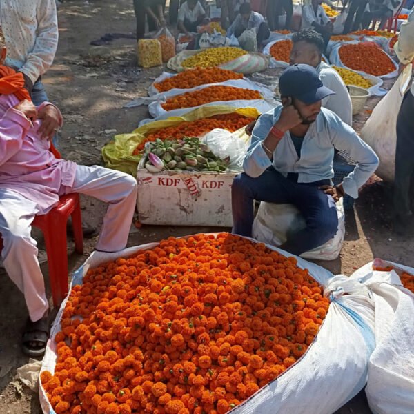 Phool Mandi 600x600